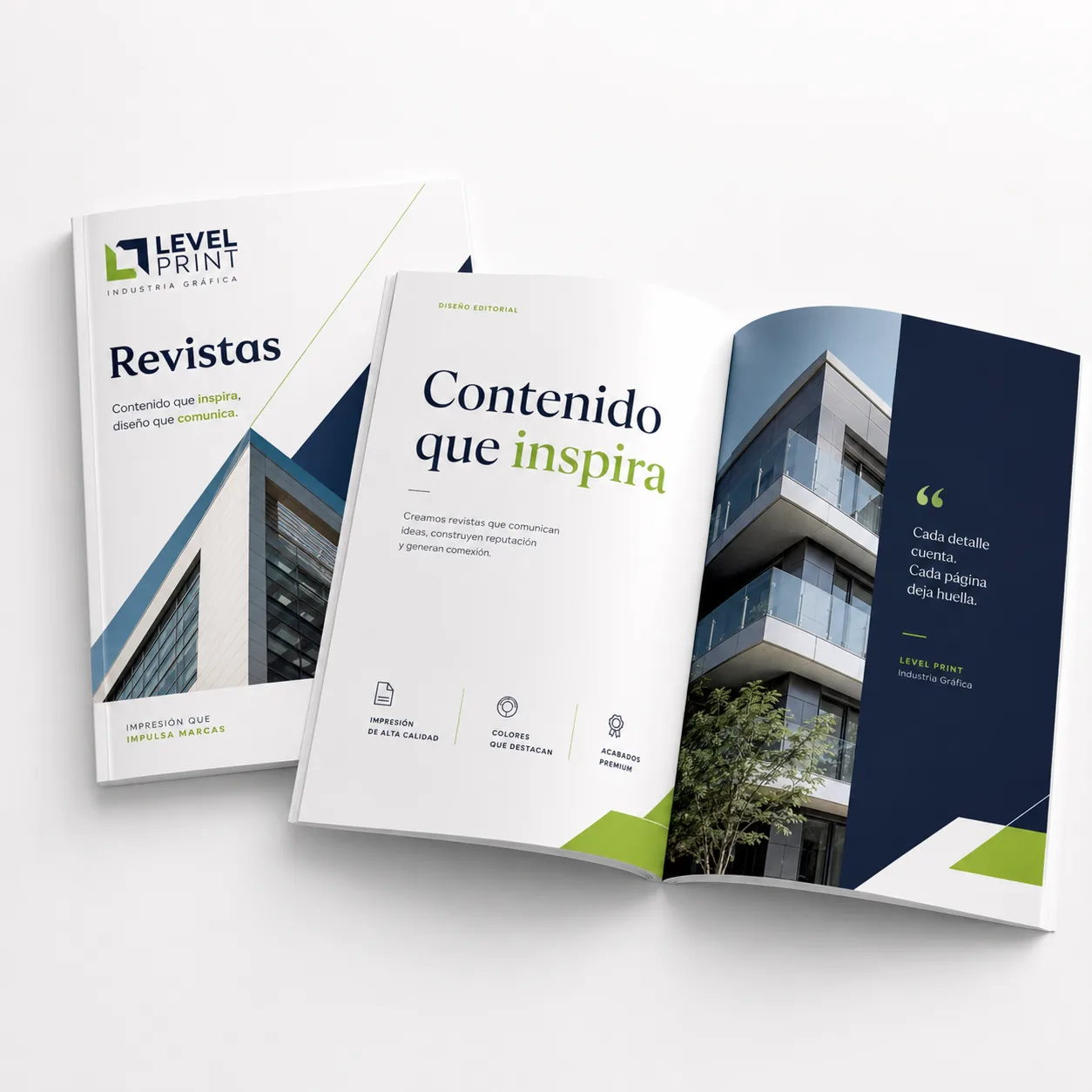 Revistas